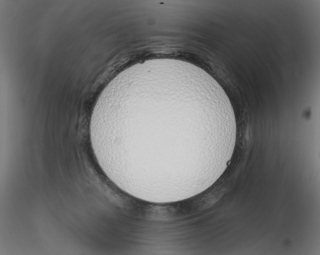X0000116110277200912211639