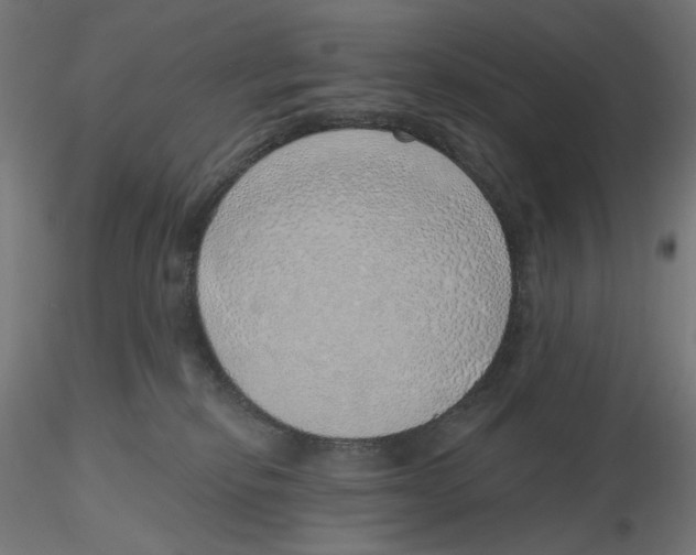 X0000116110278200912211639