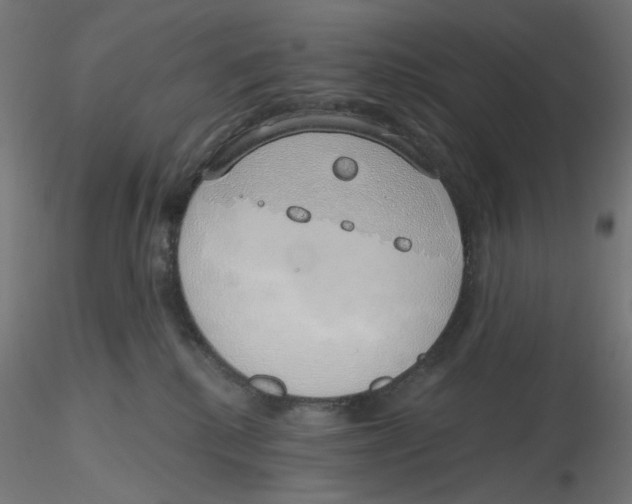 X0000116110280200912211639