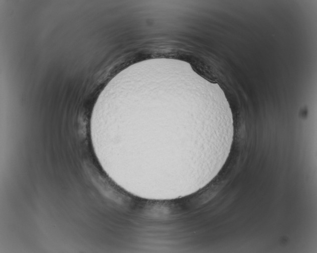 X0000116110282200912211639