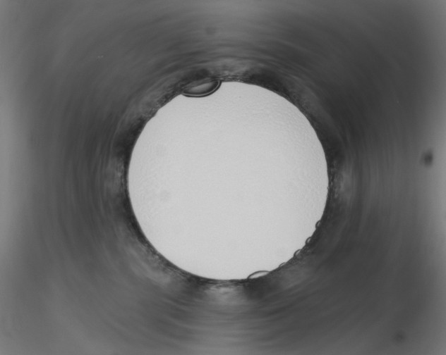 X0000116110283200912211639