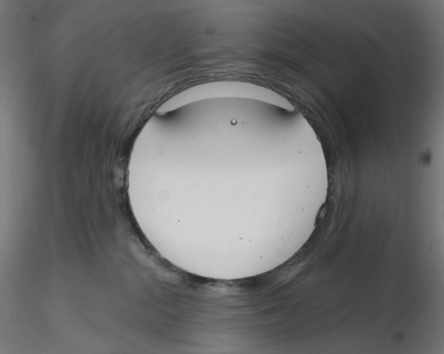 X0000116110284200912211639
