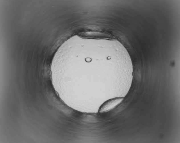 X0000116110285200912211639