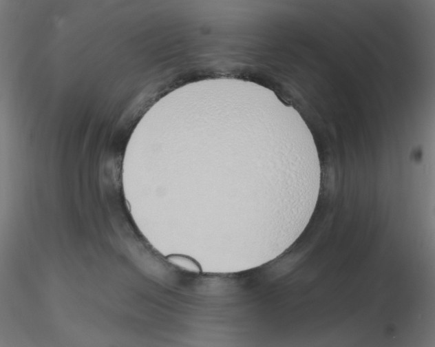 X0000116110286200912211639