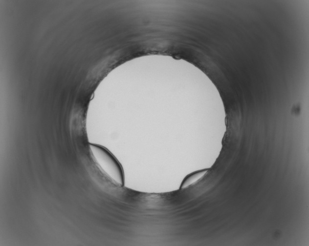 X0000116110287200912211639