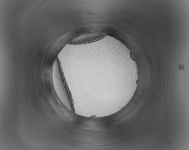 X0000116110288200912211639