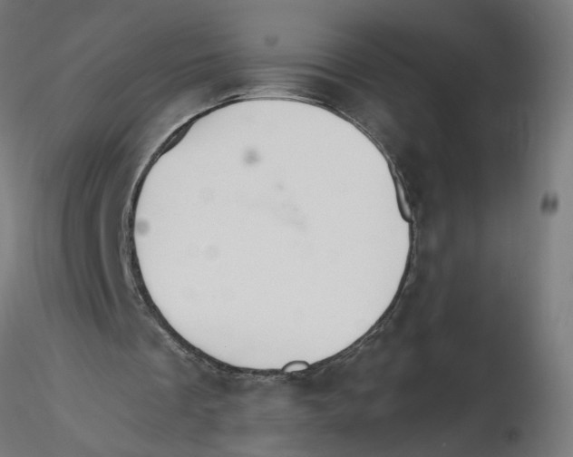 X0000116110289200912211638