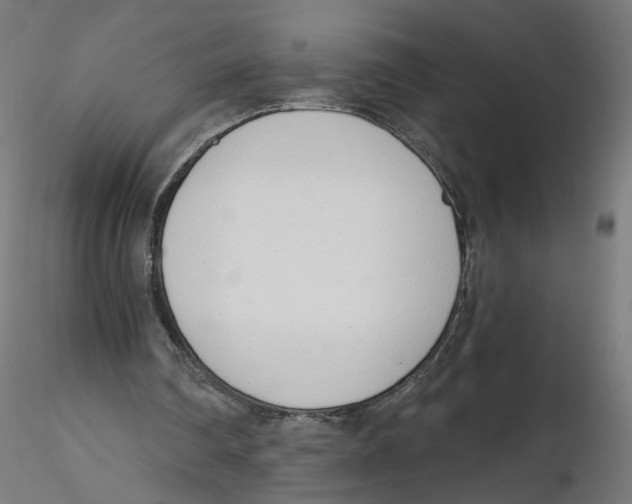 X0000116110290200912211638