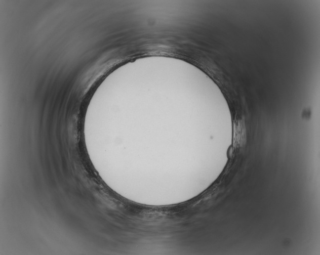 X0000116110291200912211638