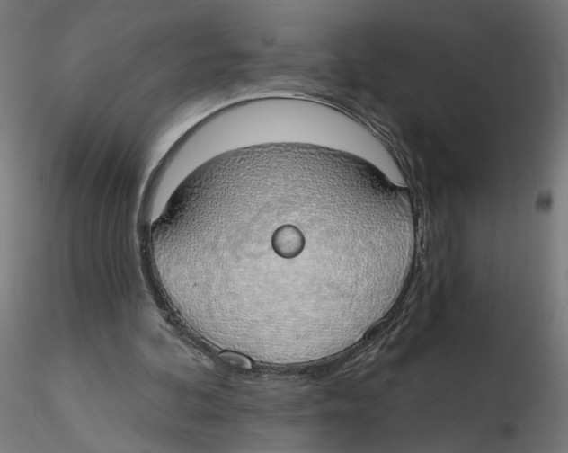 X0000116110292200912211638