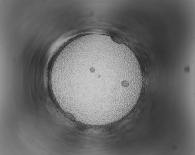 X0000116110294200912211638