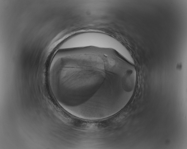 X0000116110295200912211638