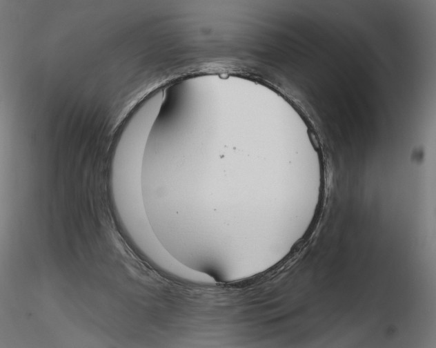 X0000116110297200912211638