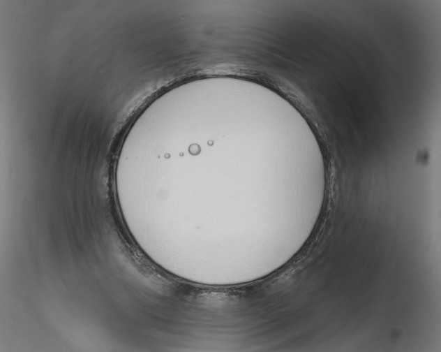 X0000116110298200912211638