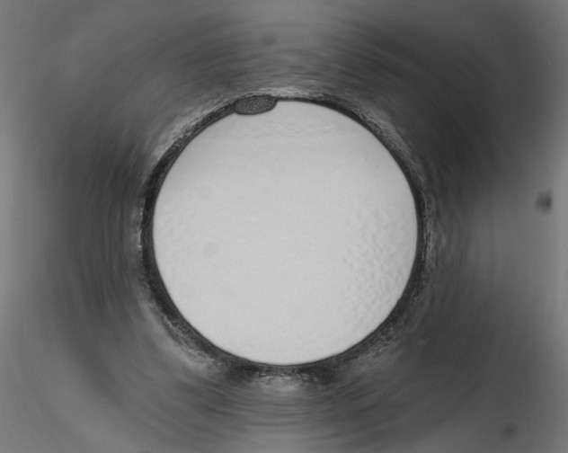 X0000116110299200912211638