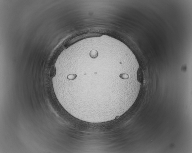 X0000116110300200912211638