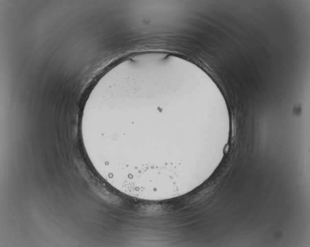 X0000116110301200912211638