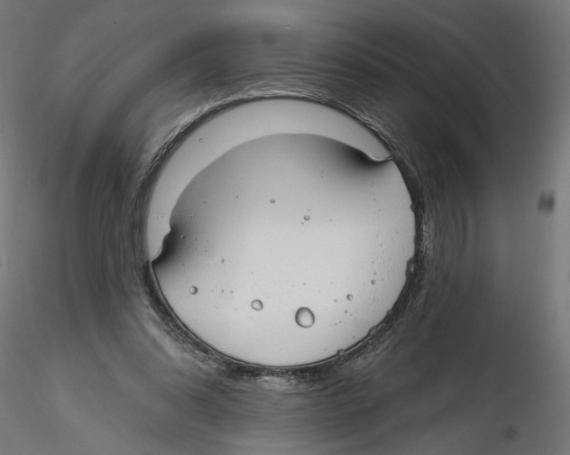 X0000116110302200912211638