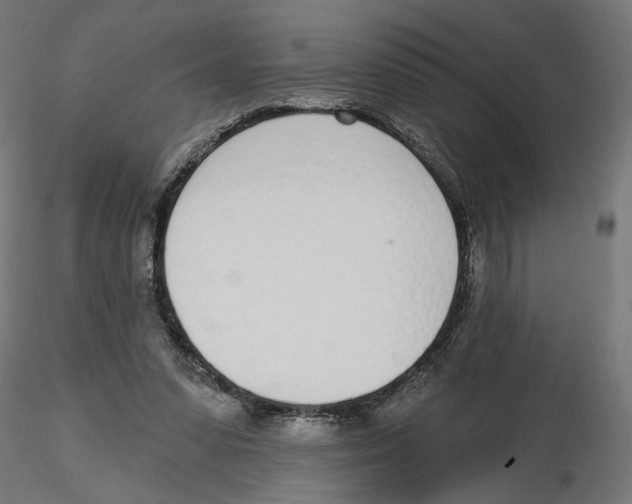 X0000116110303200912211638