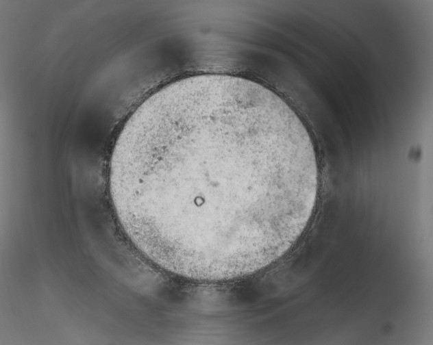 X0000116110305200912211638