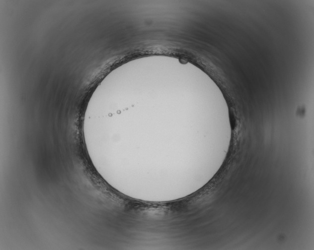 X0000116110306200912211638