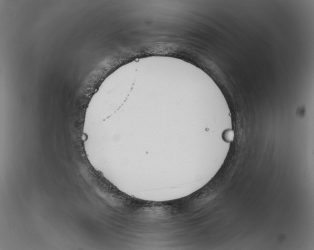 X0000116110307200912211638