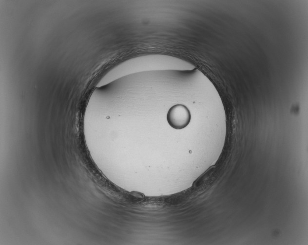 X0000116110308200912211638