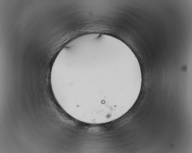 X0000116110309200912211638