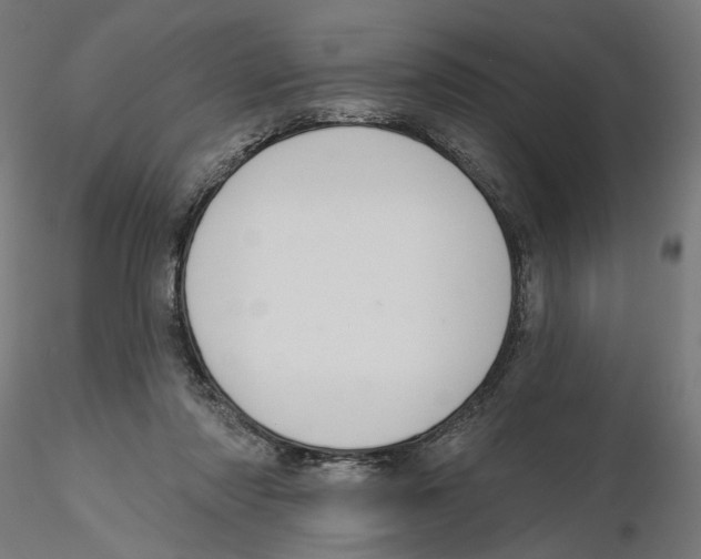 X0000116110310200912211638