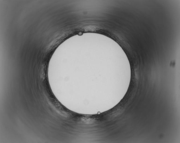 X0000116110311200912211638