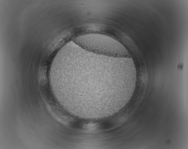X0000116110312200912211638