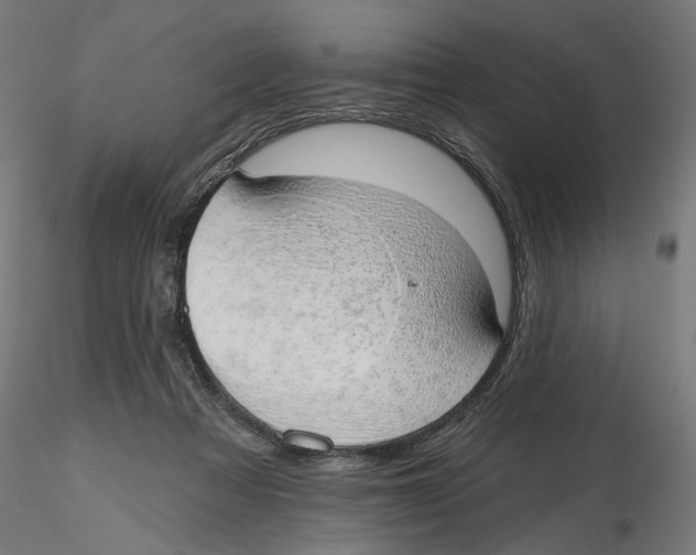 X0000116110313200912211638