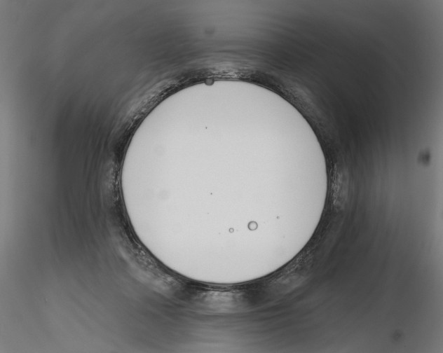 X0000116110314200912211638