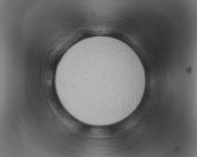 X0000116110315200912211638