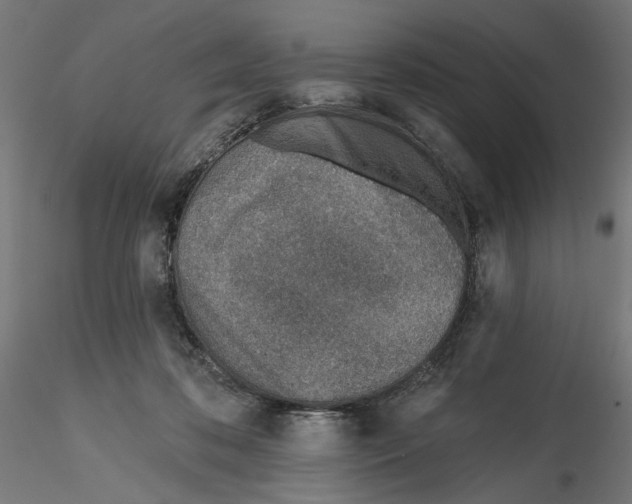 X0000116110316200912211638