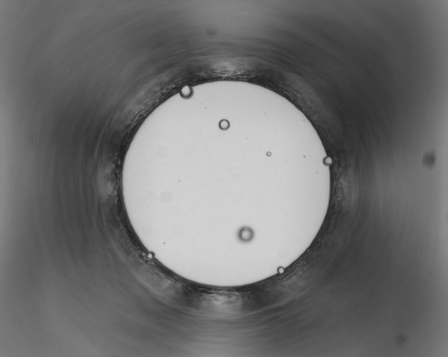 X0000116110317200912211638
