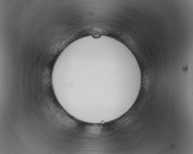 X0000116110318200912211638