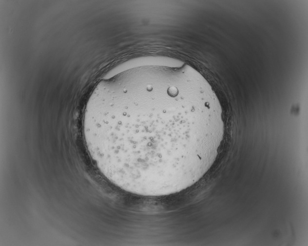 X0000116110319200912211638