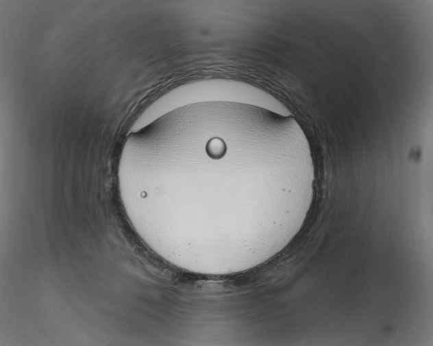 X0000116110320200912211638