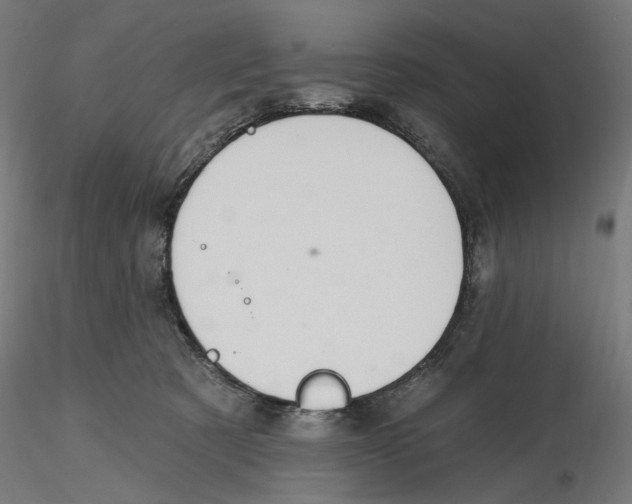 X0000116110321200912211638