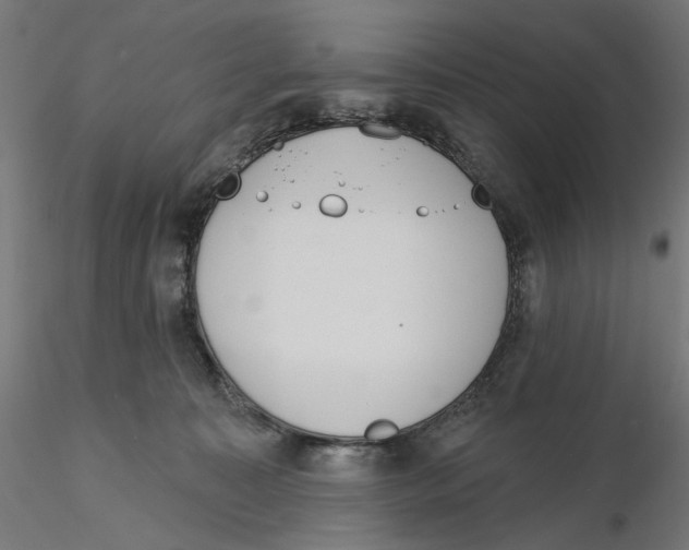 X0000116110323200912211638