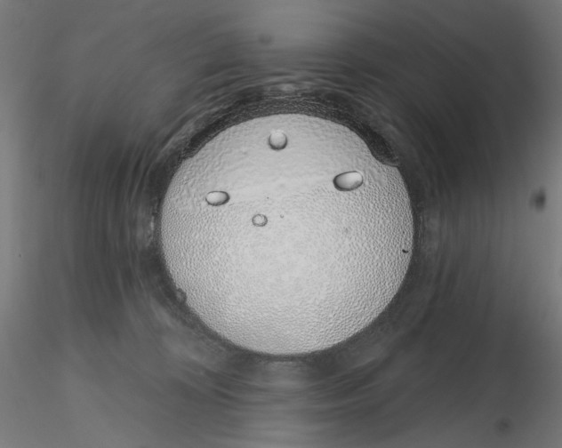 X0000116110324200912211638