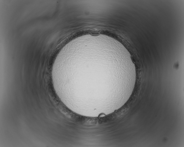 X0000116110325200912211638