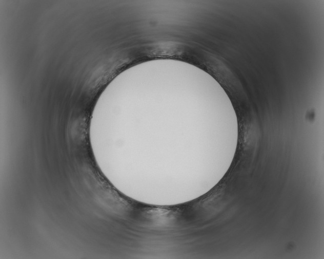 X0000116110326200912211638