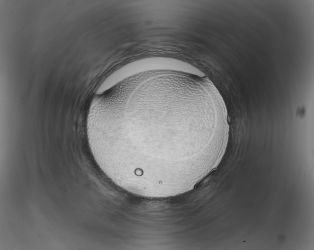 X0000116110327200912211638