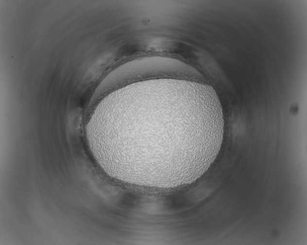 X0000116110328200912211638