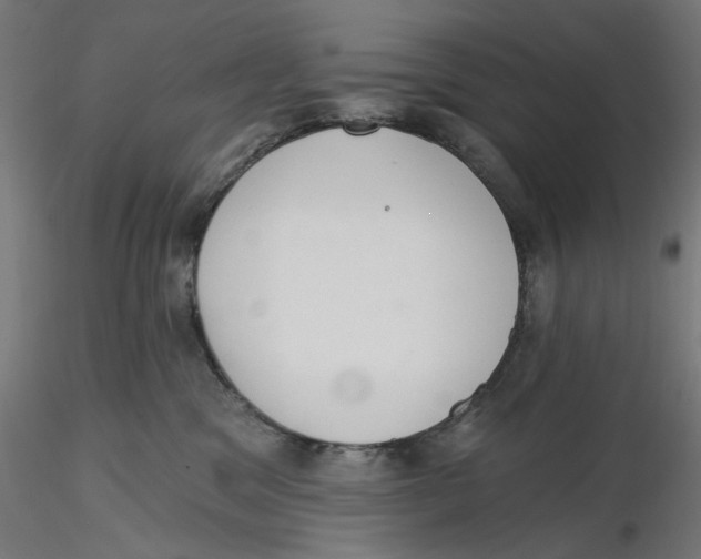 X0000116110329200912211638