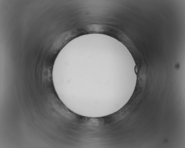 X0000116110330200912211638