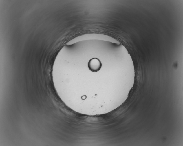 X0000116110332200912211638
