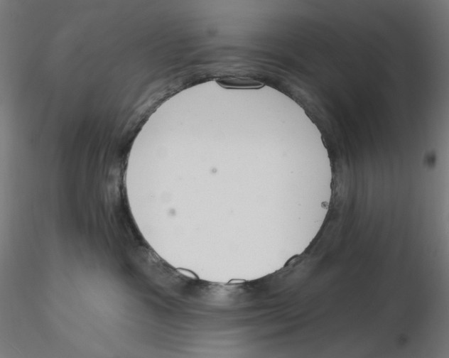 X0000116110333200912211638